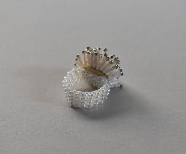 白詰草 (シロツメクサ) / silver - ショップ CACICO design リング