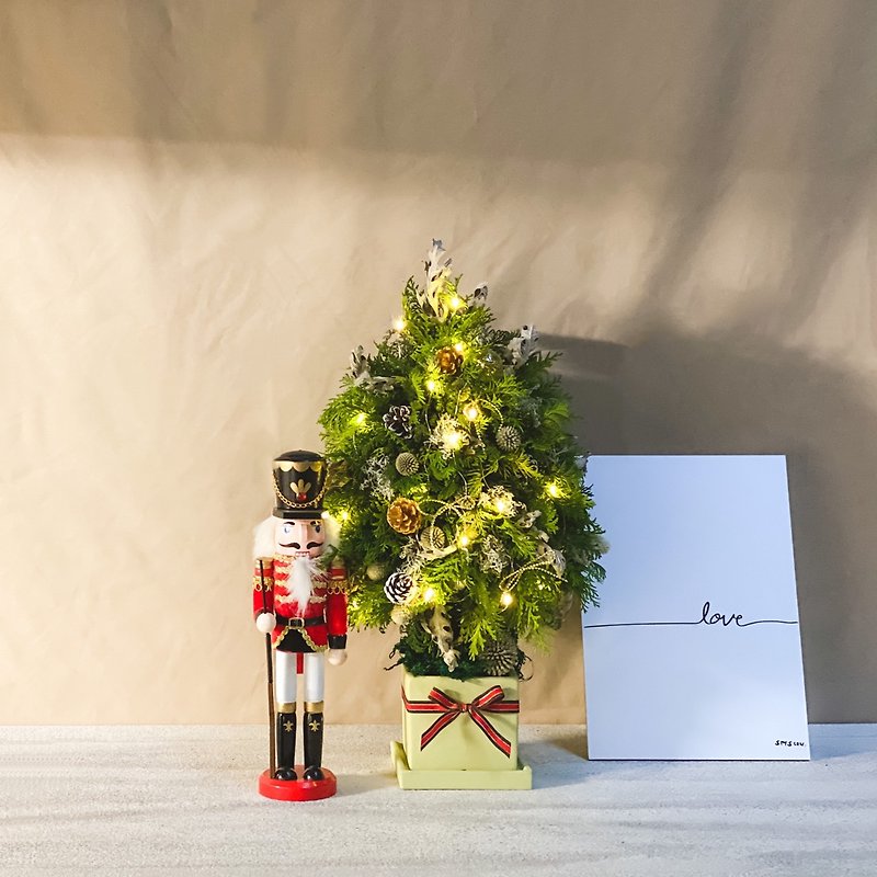 Pine cone Christmas tree - Plants & Floral Arrangement - Plants & Flowers 
