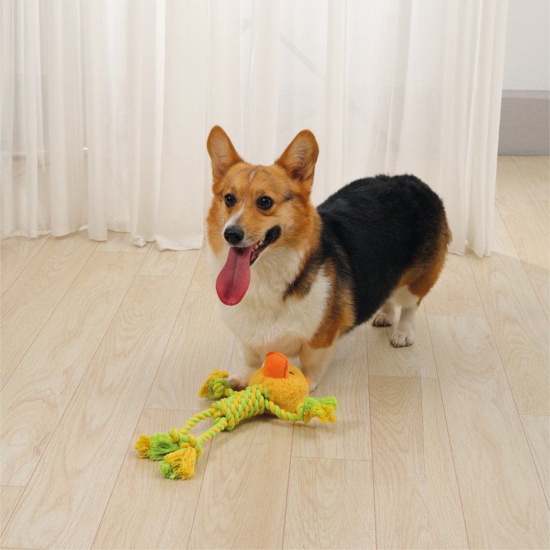【MPETS】造型可愛 ! ECO犬用吱吱玩具-動物狂歡 - 貓/狗玩具 - 其他材質 