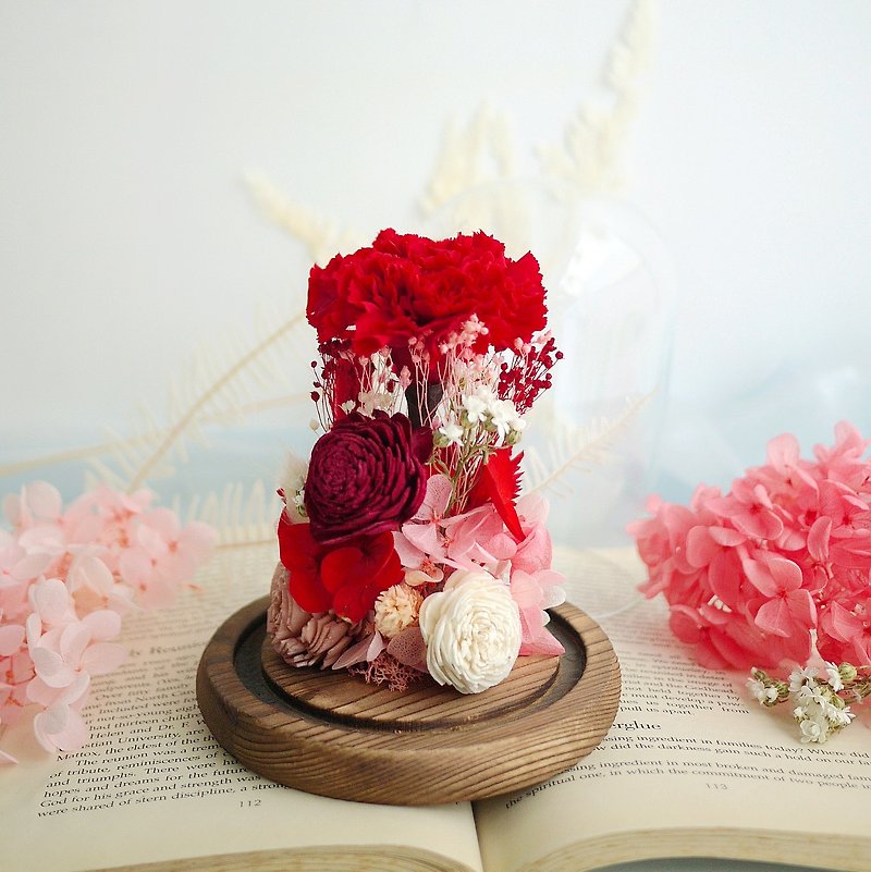 感恩禮讚-不凋 紅康乃馨 玻璃罩永生花 母親節 - 植栽/盆栽 - 植物．花 紅色