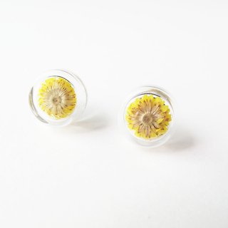 * Rosy Garden * Dried flowers yellow Anaphalis sinica round glass earring