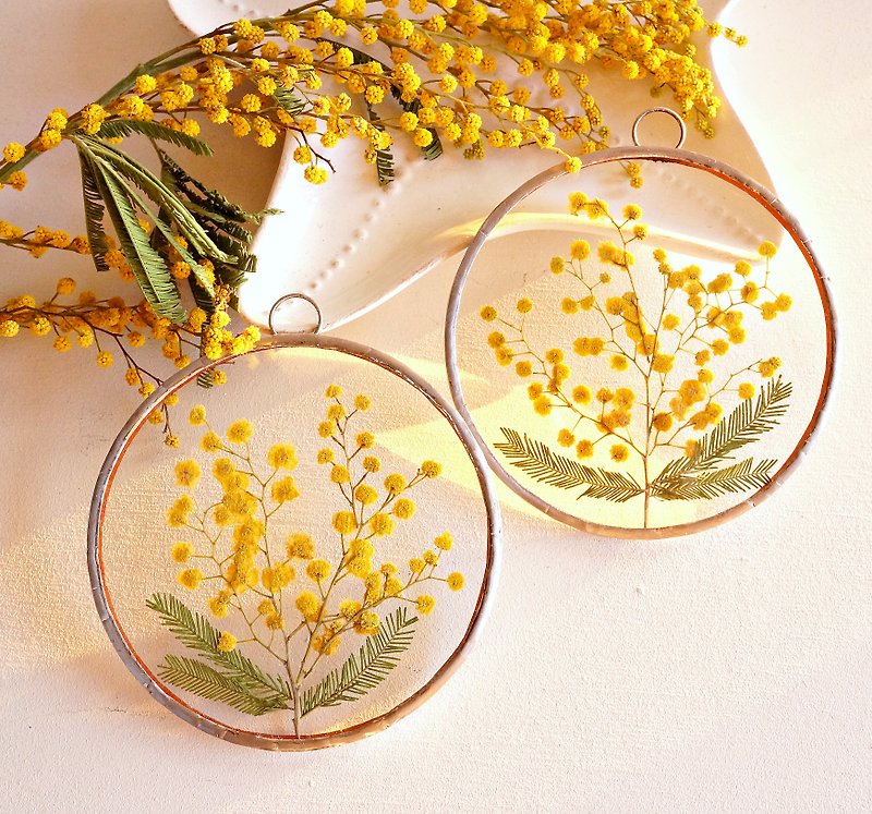 Real pressed mimosa Floral room decoration Dried flower 含羞草  本物のミモザ 金合歡 - Dried Flowers & Bouquets - Glass Yellow