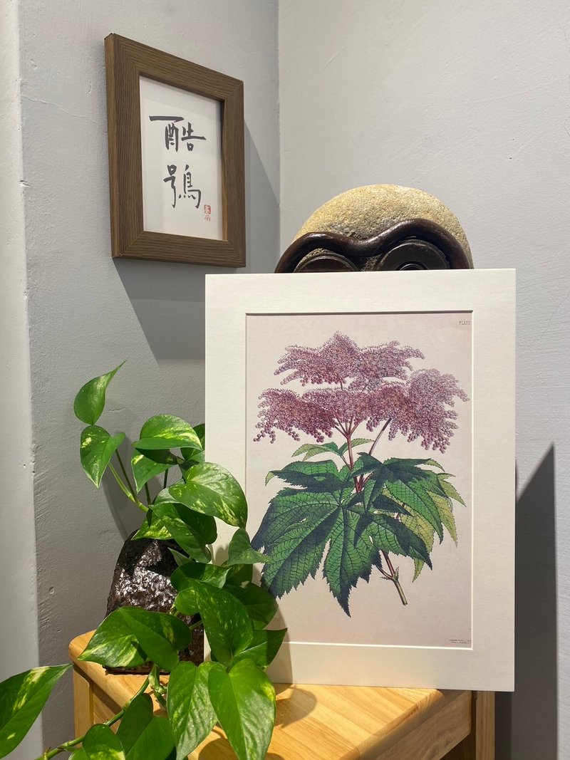 本店獨立印製英國古典植物圖鑑  Flower Garden花卉插畫 - 海報/掛畫/掛布 - 紙 