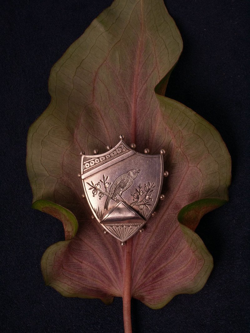 1890s 英國 維多利亞時代晚期 手刻盾型花鳥純銀相片匣胸針 - 胸針 - 純銀 銀色