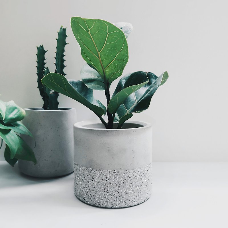 GRANITE Deep cylinder concrete planter / pot for Succulent & Cacti - Pottery & Ceramics - Cement Gray