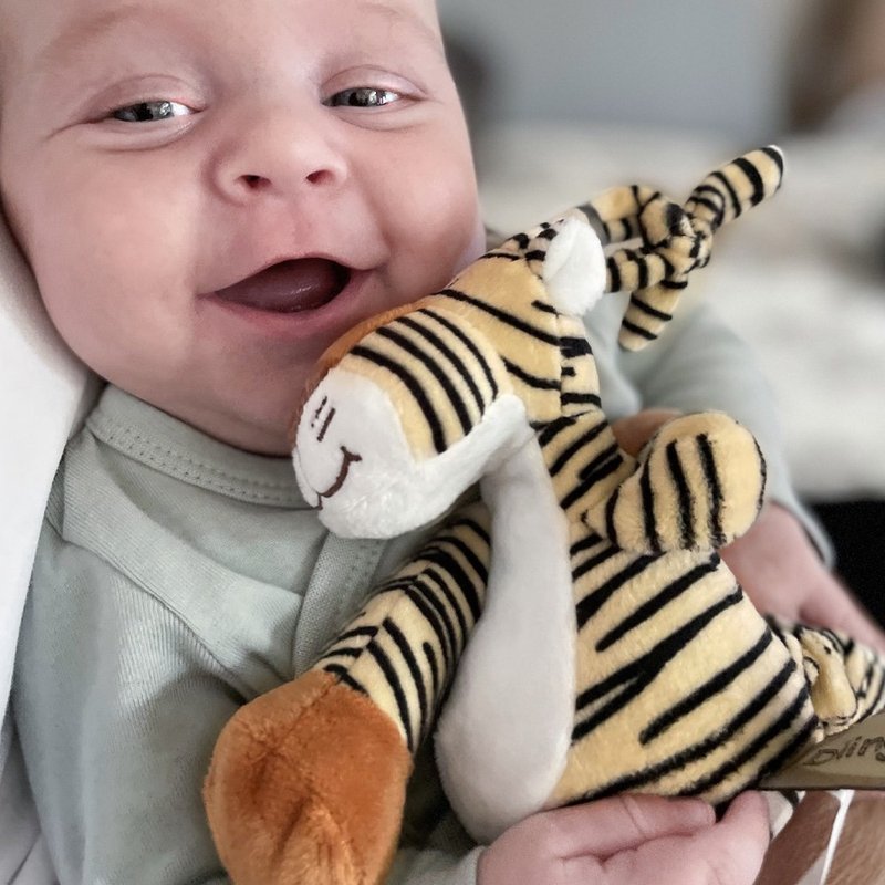 Nordic Sweden Teddykompaniet Tiger Comfort Musical Pull Toy New Year Gift Exchange Gift - ของเล่นเด็ก - เส้นใยสังเคราะห์ 