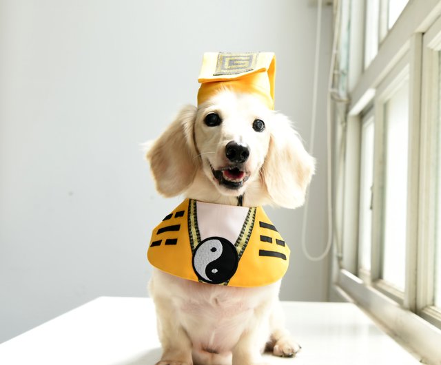 Dog shop submarine costume