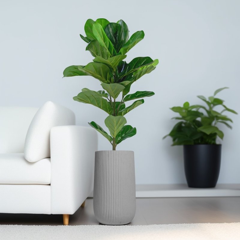 Fiddleleaf banyan Cement potted plant large potted straight striped rock ash high pot floor-standing potted plant ceremony Nordic minimalist - Plants - Plants & Flowers 