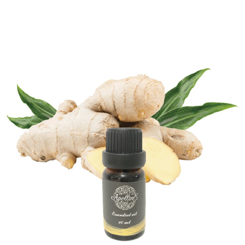 薑精油 GINGER - 香氛/精油/擴香 - 精油 