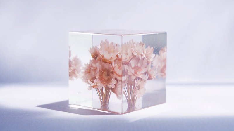 乾燥花淡粉紅小花－立體方形乾花擺設 - 胸針/心口針 - 植物．花 粉紅色