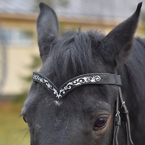 Equestrian Style Studio Black leather browband for horses draft pony. Handmade Brow band with hand-paint