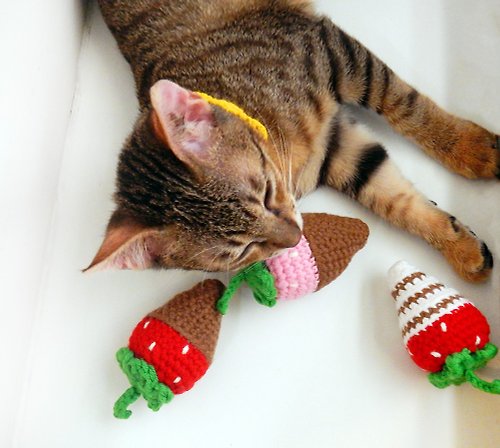 Pure 毛線編織貓草玩具 貓咪玩具 貓薄荷 巧克力草莓