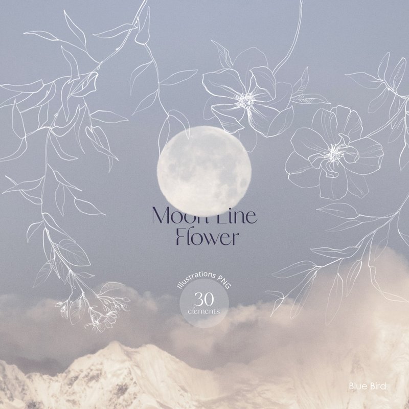 Moon Line Flower. Digital botanical collection - 其他數位設計 - 其他材質 
