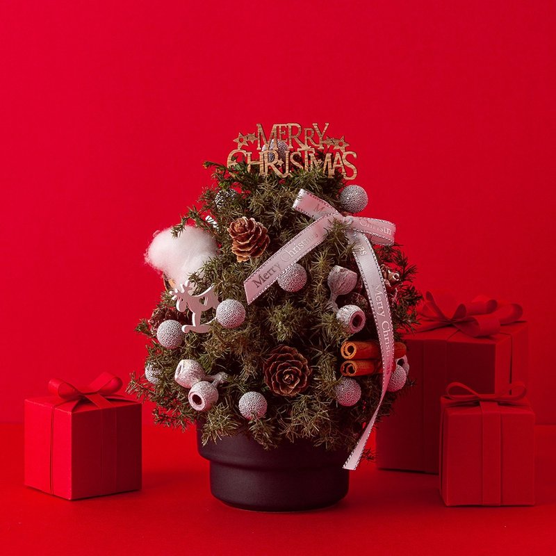 Everlasting cedar Christmas tree Christmas limited edition everlasting flower exchange gift Christmas decoration Christmas arrangement - ช่อดอกไม้แห้ง - พืช/ดอกไม้ 