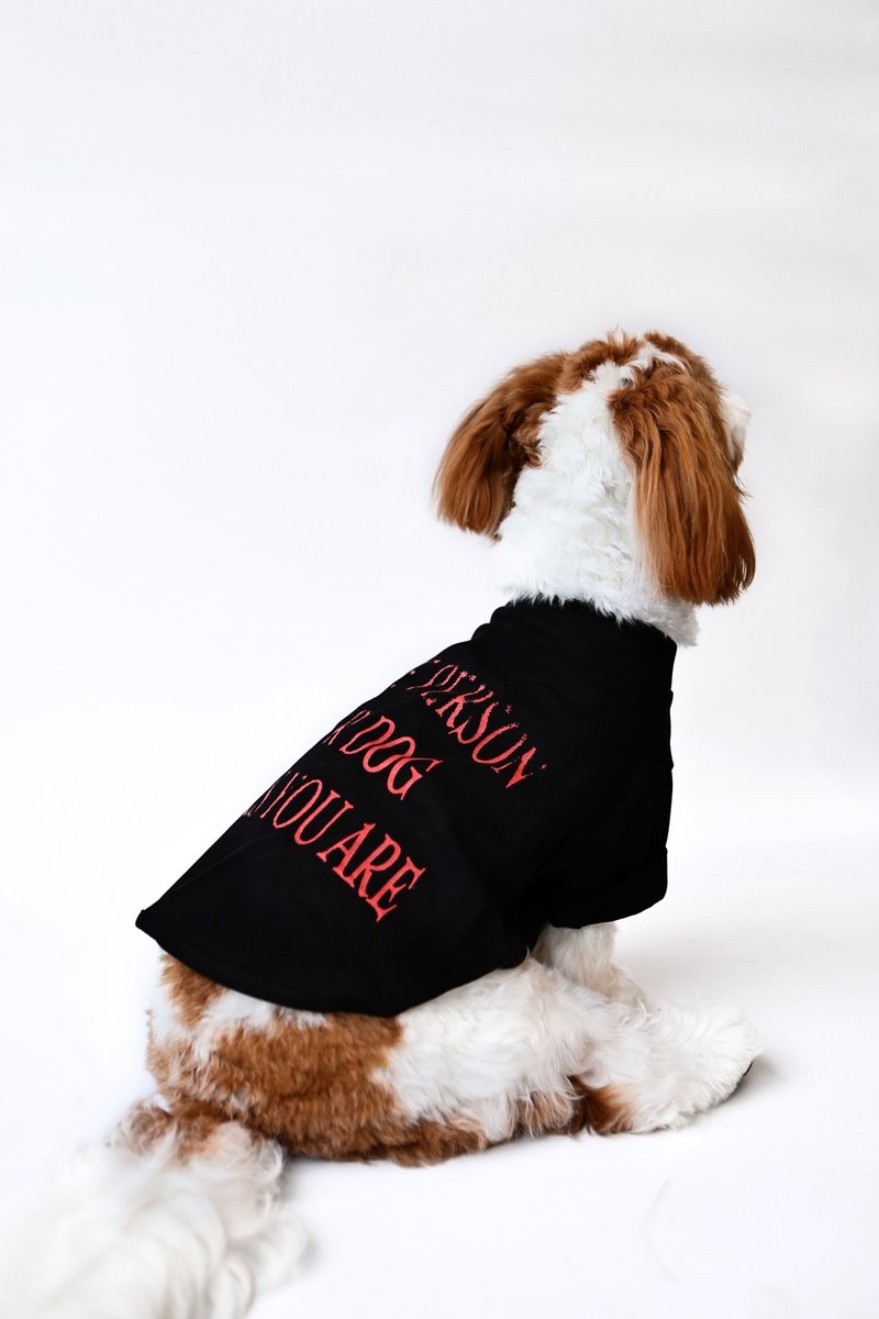 BE Tee Dog Short Kick-Be a Good Person SL - Clothing & Accessories - Cotton & Hemp Black