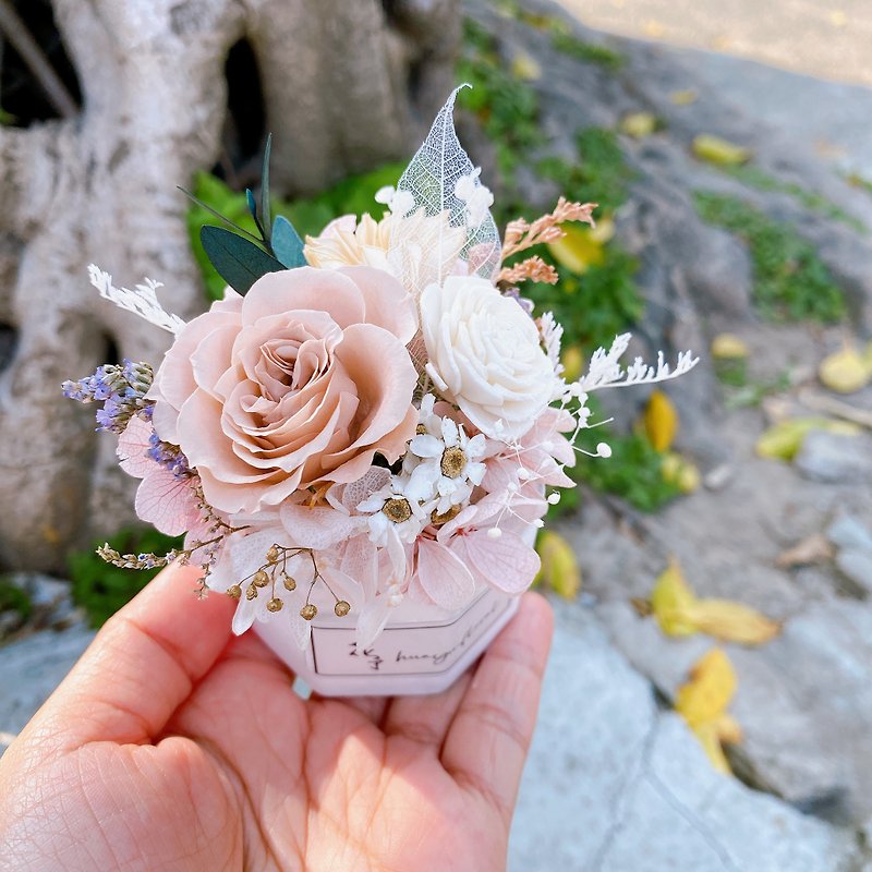 (Customized) Diffuse potted flowers, preserved flowers, dried flowers, diffused flowers, wedding favors, graduation Mother’s Day - Dried Flowers & Bouquets - Plants & Flowers Multicolor