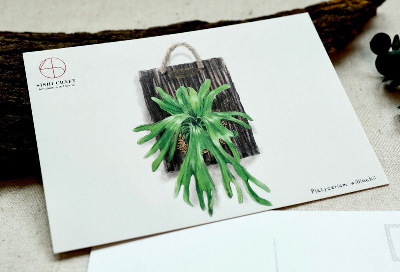 Staghorn Fern - Hand drawn style postcard card wild card - การ์ด/โปสการ์ด - กระดาษ 