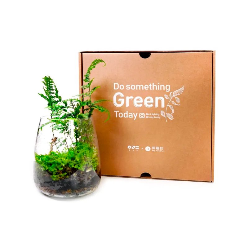 ONF 苔蘚微景觀手作懶人包 含植物 苔蘚 不銹鋼工具組 母親節 - 植栽/盆栽 - 其他材質 綠色