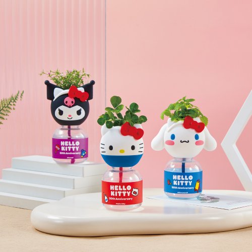 Green Pandora 療癒系綠植 Hello kitty 50週年療癒植物瓶盲盒