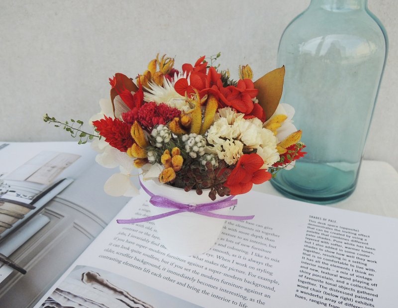 Sweet ‧ laps hand-made sketch series elegant girl does not wither the red hydrangea Australia kangaroo flower stars pearl grass graduation season potted small potted table small things opening ceremony spot - Items for Display - Other Materials Red