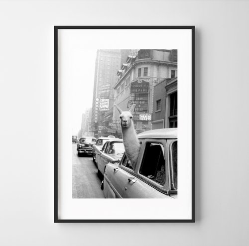 Weekend Road Trip Llama in New York 可客製化 掛畫 海報 臥室 浴室 咖啡店