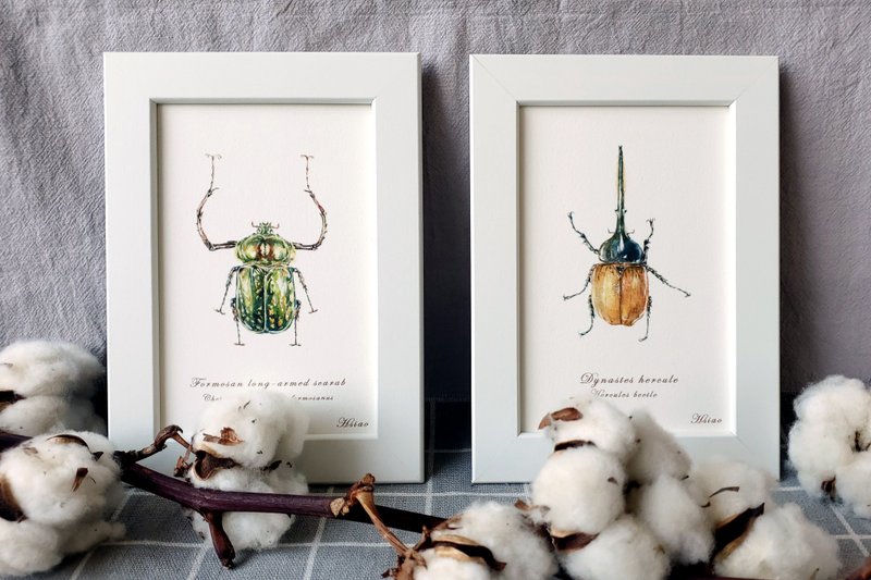 Insect specimens-decorative painting/gift/packaging included/watercolor/hand-painted/illustration - Posters - Paper Gray