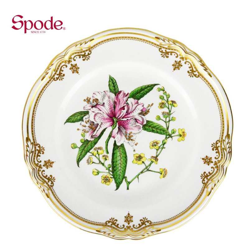 英國Spode-Stafford Flowers斯塔福之花系列-23.5cm盤 - 盤子/餐盤/盤架 - 瓷 白色