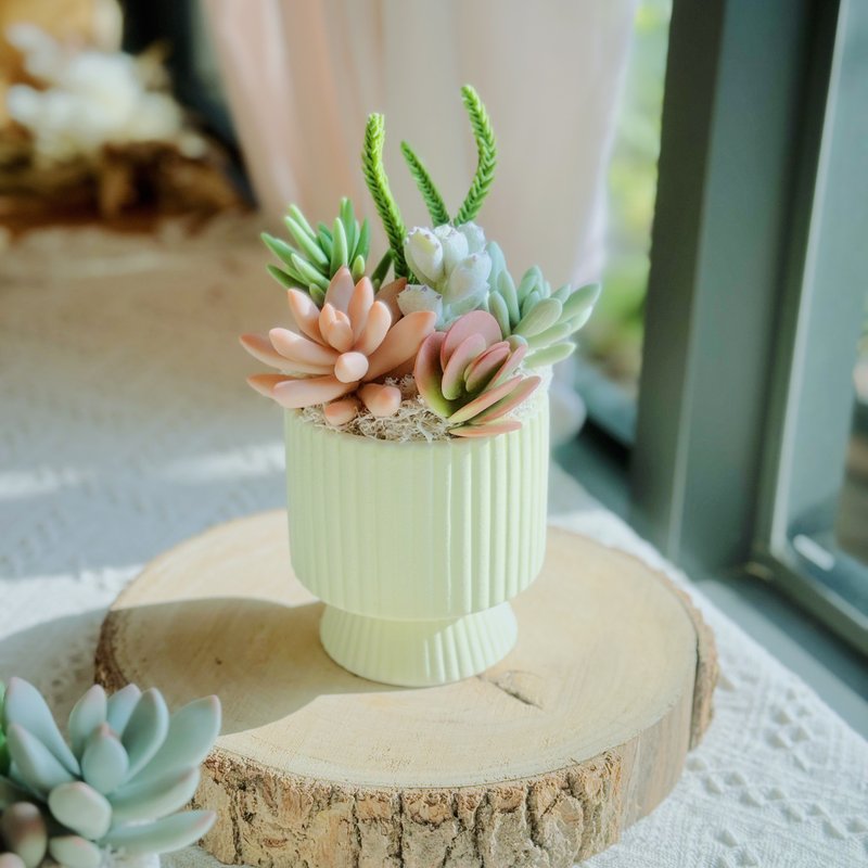 Succulent Garden (Vertical Stripe - Green). Handmade Clay Succulent Plants. - Items for Display - Clay Green
