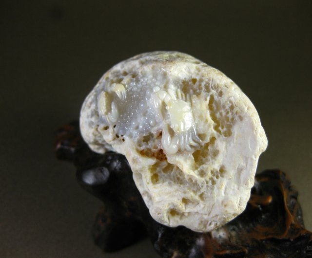 彫刻作品（カニ）原皮ホワイト白玉髄 - ショップ JadeGaze|Taiwan Jade