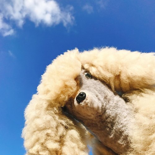 瑞文堂 澳洲進口手工純羊毛灰褐色貴賓狗 | 玩偶 擺飾 老件 稀有
