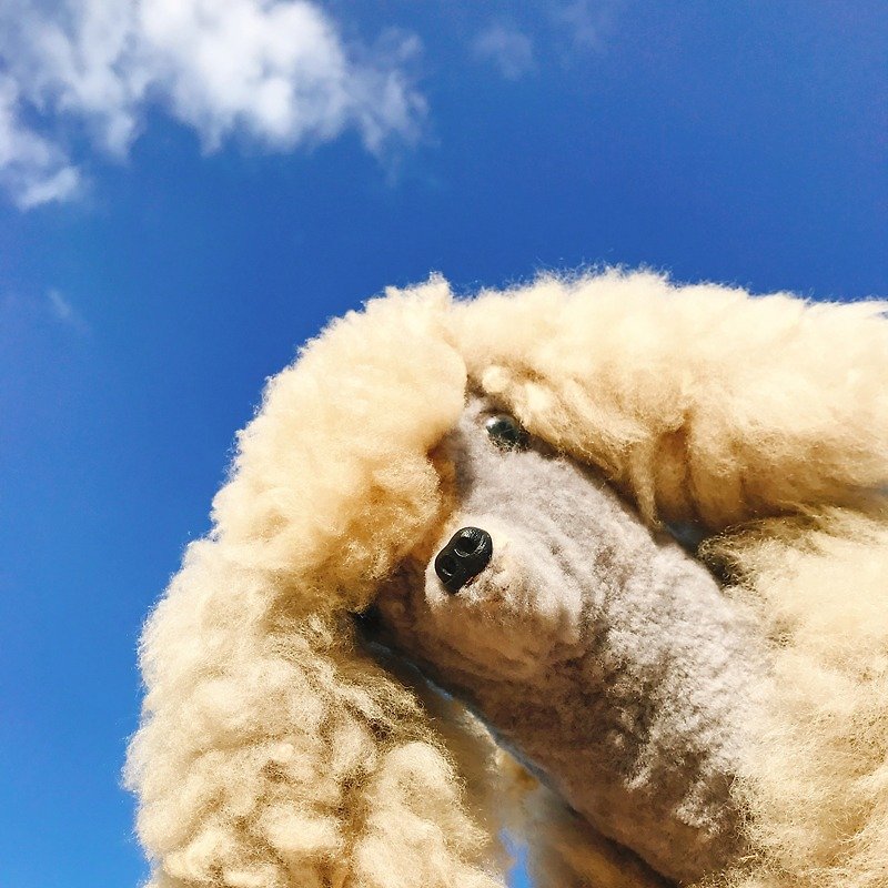 澳洲進口手工純羊毛灰褐色貴賓狗 | 玩偶 擺飾 老件 稀有 - 裝飾/擺設  - 羊毛 灰色