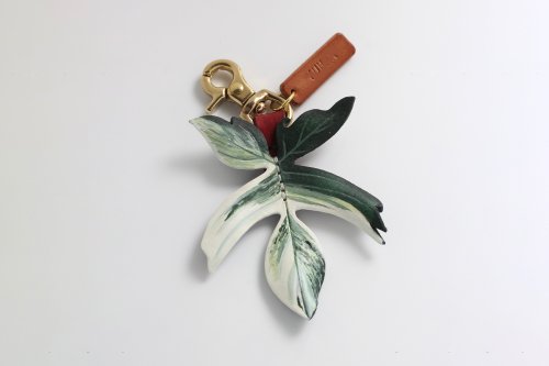 Kindly 手作革物 Philodendron Florida Beauty 斑葉龍爪蔓綠絨