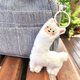 recommend-product