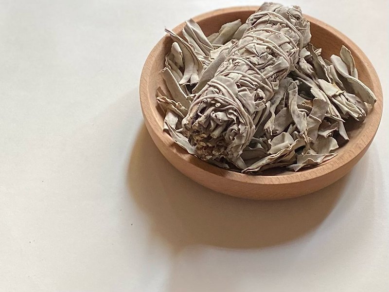 California White Sage 10cm purifies, degausses, heals, and purifies the space physically and mentally - น้ำหอม - พืช/ดอกไม้ 