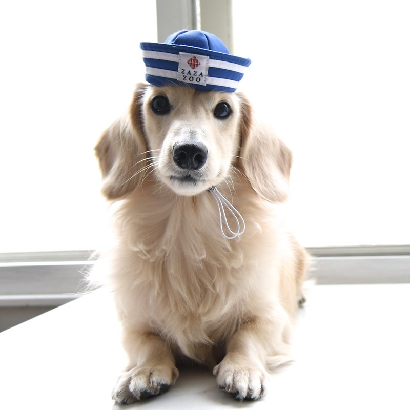 寵物經典海軍帽/水手帽-貓狗皆宜【ZAZAZOO】 - 寵物衣服 - 棉．麻 多色