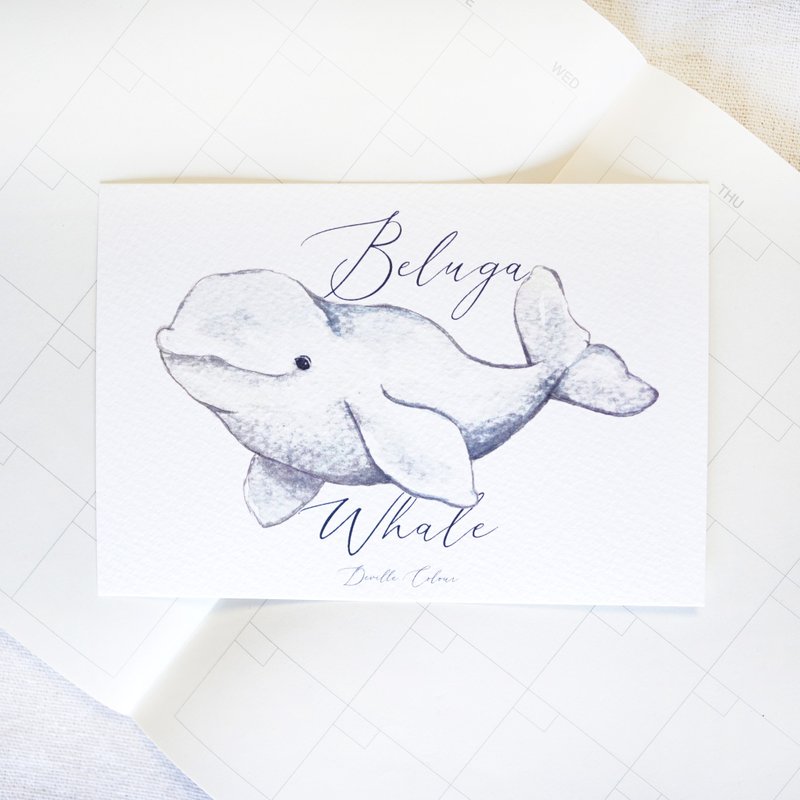 [Where the Whale Goes - Beluga White Whale] Postcard - การ์ด/โปสการ์ด - กระดาษ ขาว