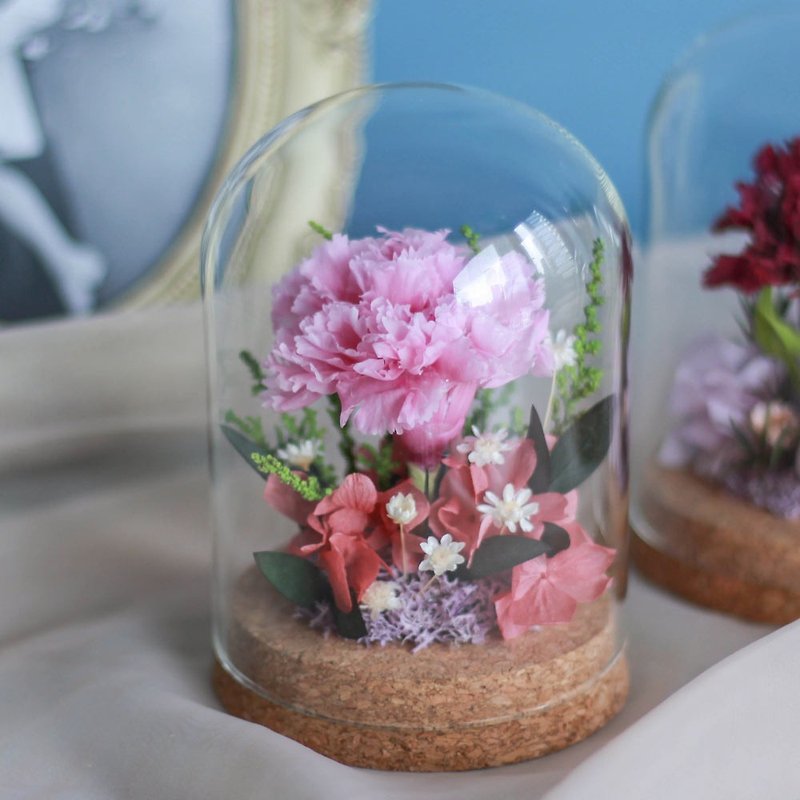 gentle strong carnation glass cover - ช่อดอกไม้แห้ง - พืช/ดอกไม้ หลากหลายสี
