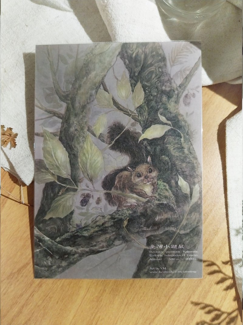 臺灣小鼯鼠-臺灣特有動物系列-特有亞種(毛耳飛鼠) 台灣 明信片 - 卡片/明信片 - 紙 