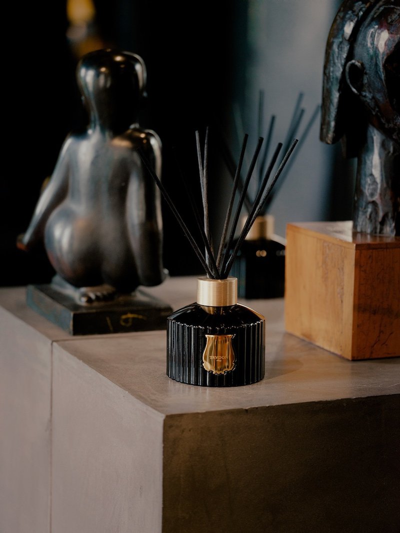 Cire Trudon 皮革與菸草/精油藤條擴香 - 香氛/精油/擴香 - 玻璃 金色