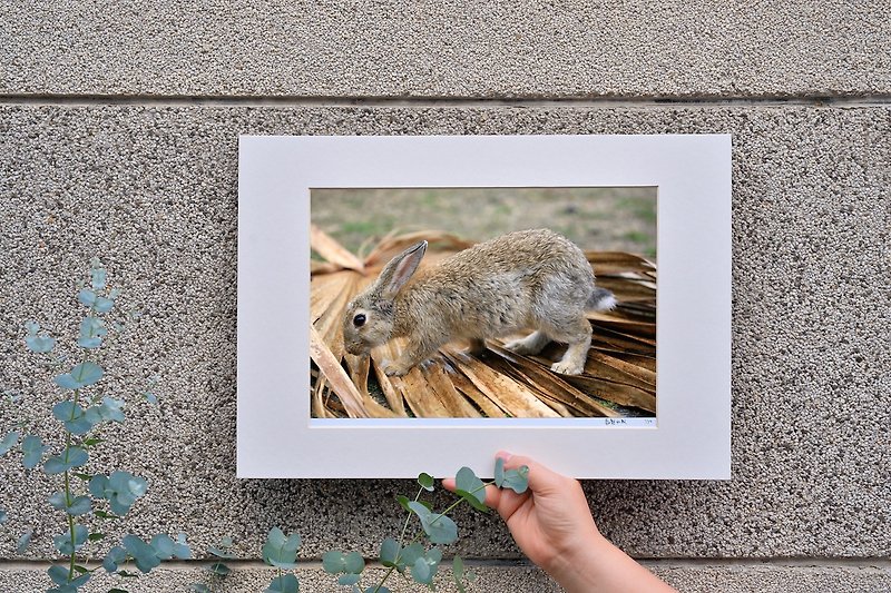 Limited Bunny Photographic Art Original-Survival - ของวางตกแต่ง - กระดาษ สีกากี