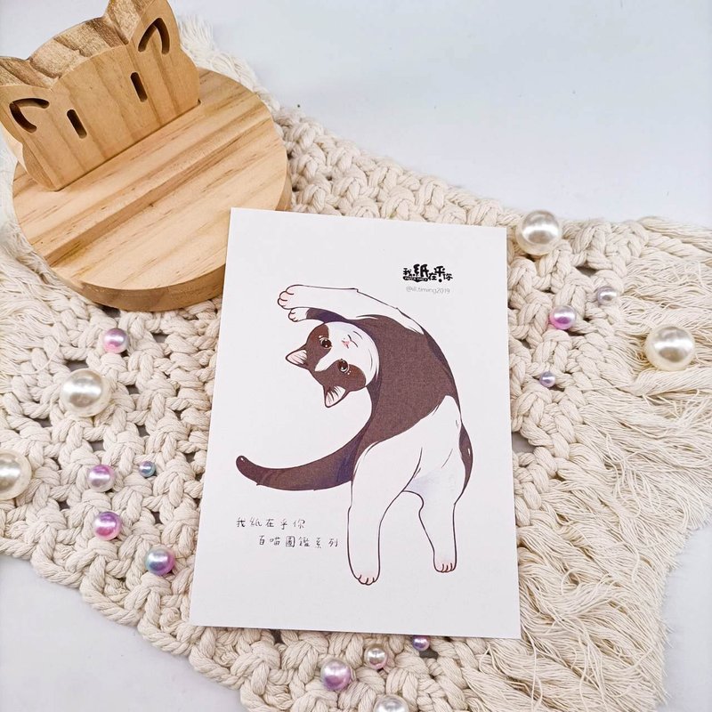 ME182-A50_我紙在乎你百喵圖鑑系列明信片_postcard - 卡片/明信片 - 紙 多色