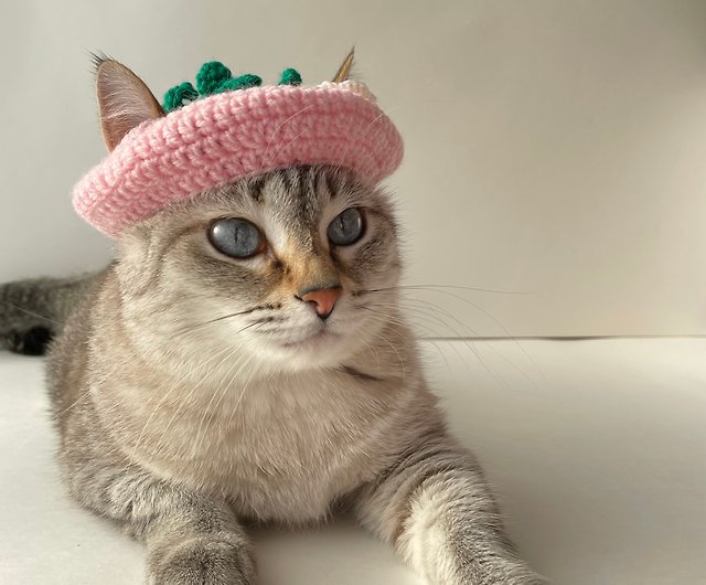 Strawberry hat for cat and small dog, crochet cat hat, crochet easy pattern  - Shop AkhOlga Clothing & Accessories - Pinkoi