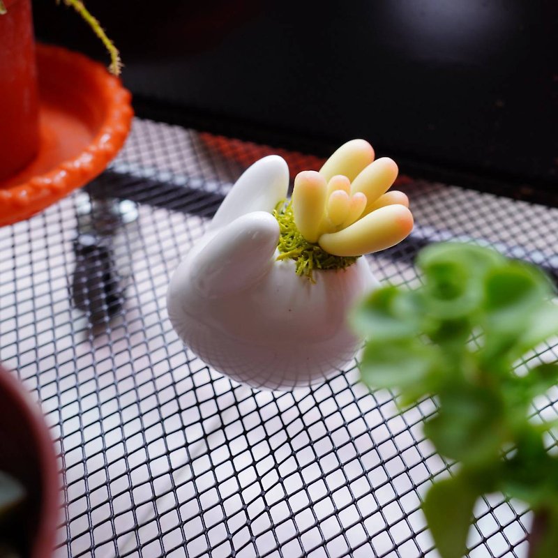 Spy Succulent Rabbit Pot [Clay Handmade Video + Material Pack] - อื่นๆ - วัสดุอื่นๆ สีเขียว