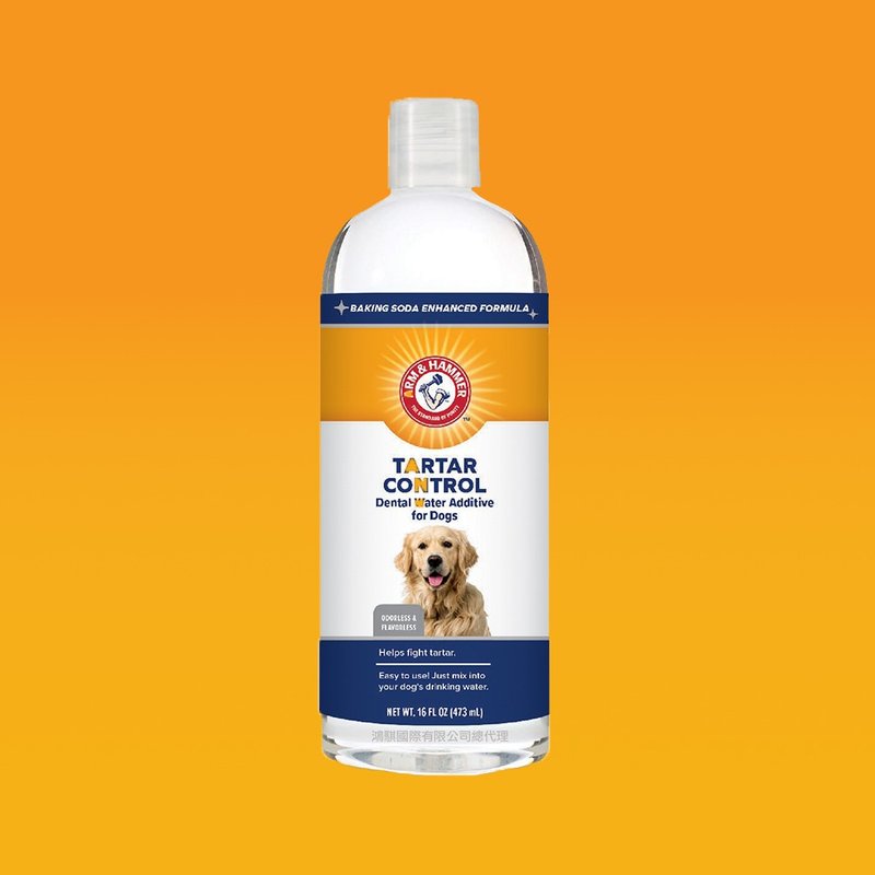 [Arm & Hammer] Teeth cleanser for pet dogs - Cleaning & Grooming - Other Materials Orange