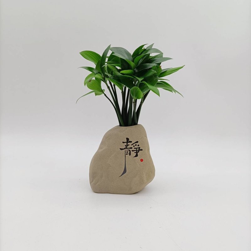 竹柏植栽 陶藝小佛祖 奇木 黑檀原木墊 - 植栽/盆栽 - 植物．花 