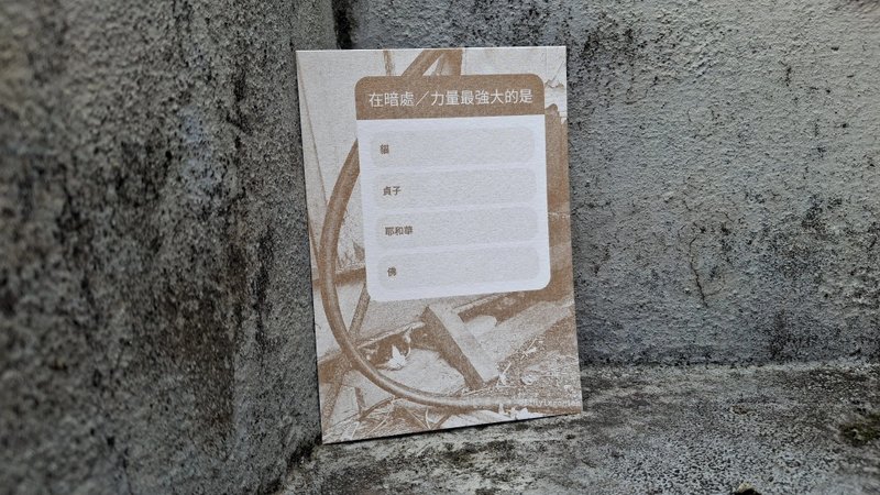 黑洞貓咪問答 Cat Postcard 貓攝影明信片 三八痣貓咪春麗 金Gold - 卡片/明信片 - 紙 金色