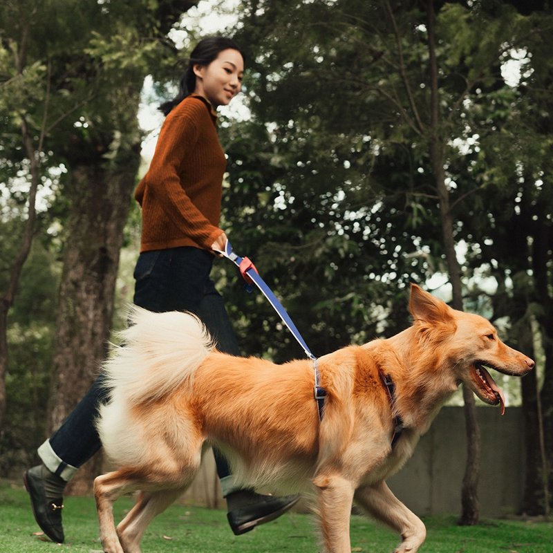 【tails&me 尾巴與我】新經典系列 犬貓共用標準牽繩(雙色 共6色) - 項圈/牽繩 - 尼龍 多色