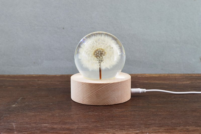 夢天涯 蒲公英冰晶圓-特大 限量 - 擺飾/家飾品 - 樹脂 白色