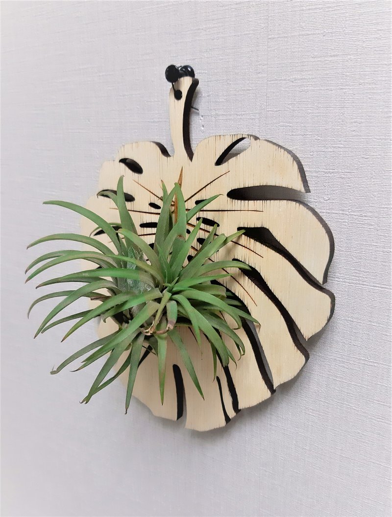 【Japanese Garden Style】Botanical Hanger Mini - Monstera - Plants - Wood Brown