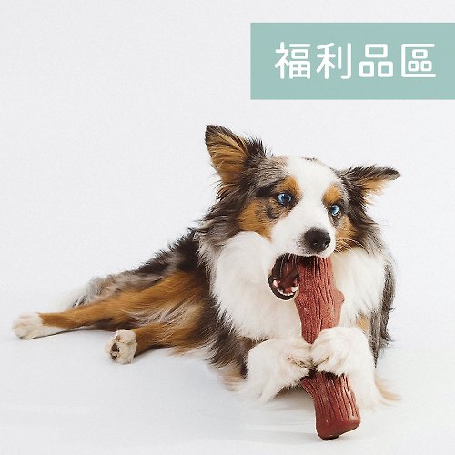Outward Hound 【瑕疵福利品】潔牙骨 史迪克 啃咬寵物玩具